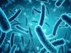 Bacteria turning UTIs into killers
